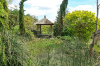 /album/philemons-garten-9-mai-2026/philemons-garten-09-05-2026-15-jpg/